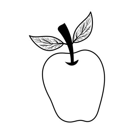 Apple design, Fruit healthy organic food sweet and nature theme Vector illustrationのイラスト素材