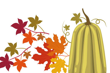 Pumpkin design, Fruit autumn healthy organic food sweet and nature theme Vector illustrationのイラスト素材
