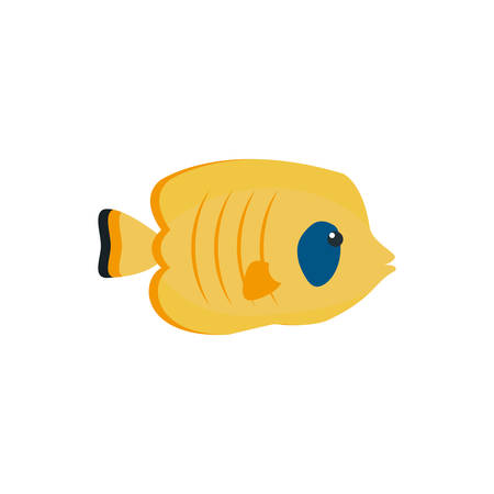 Sea fish design, Ocean nature beach underwater aquarium and marine theme Vector illustrationのイラスト素材