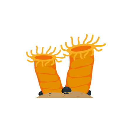 Sea mollusk design, Ocean nature beach underwater aquarium and marine theme Vector illustrationのイラスト素材