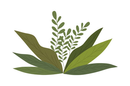 leaves design, Plant floral garden nature decoration ornament and season theme Vector illustrationのイラスト素材