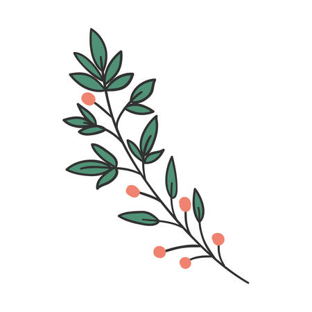 Leaf design, Plant floral garden nature decoration ornament and season theme Vector illustrationのイラスト素材