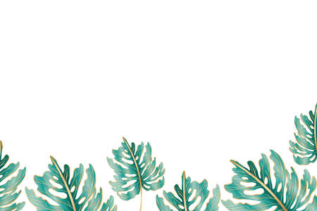 Tropical green leaves design, Nature summer plant botany tree and decoration theme Vector illustrationのイラスト素材