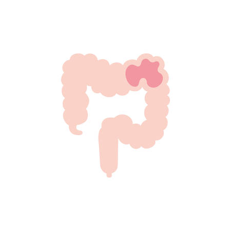 large intestine icon design, Human body person people health anatomy biology and science theme Vector illustrationのイラスト素材