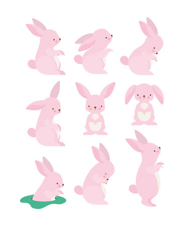 Cute rabbits cartoons design, Animal zoo life nature character childhood and adorable theme Vector illustrationのイラスト素材
