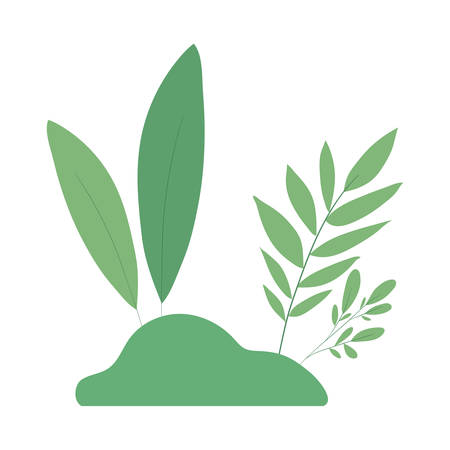 leaves design of Floral nature plant garden ornament botany decoration and life theme Vector illustrationのイラスト素材