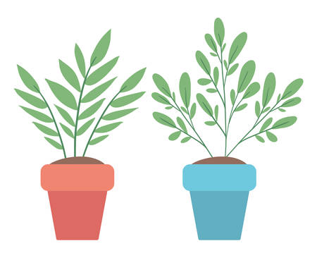 Plants inside pots design of Floral nature garden ornament botany decoration beauty and flora theme Vector illustrationのイラスト素材