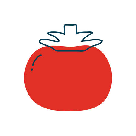 tomato flat style icon design, Vegetable organic food theme Vector illustrationのイラスト素材