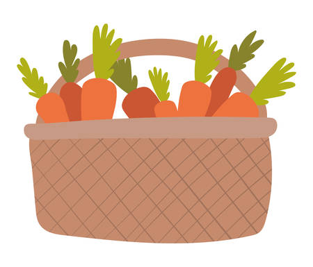 carrots inside basket design, Vegetable organic food healthy fresh natural and market theme Vector illustrationのイラスト素材