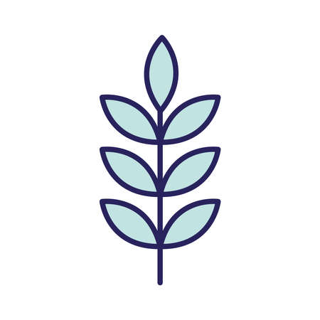 Wheat ear line and fill style icon design, Food grain agriculture natural seed plant organic and corn theme Vector illustrationのイラスト素材