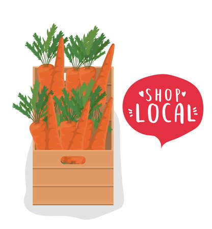 carrots box with shop local inside bubble design of retail buy and market theme Vector illustrationのイラスト素材