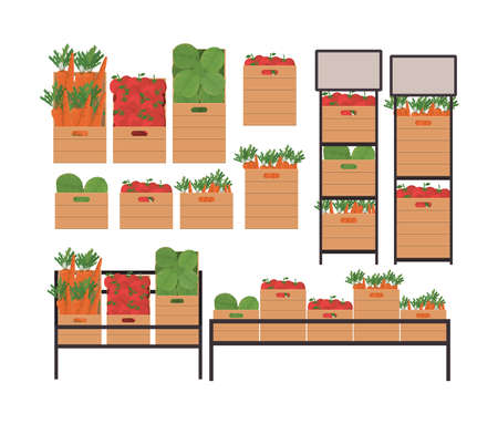 shop vegetables shelves and boxes design of retail buy and market theme Vector illustrationのイラスト素材