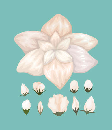 white flower painting design, natural floral nature plant ornament garden decoration and botany theme Vector illustrationのイラスト素材