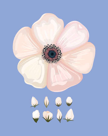 white flower painting design, natural floral nature plant ornament garden decoration and botany theme Vector illustrationのイラスト素材