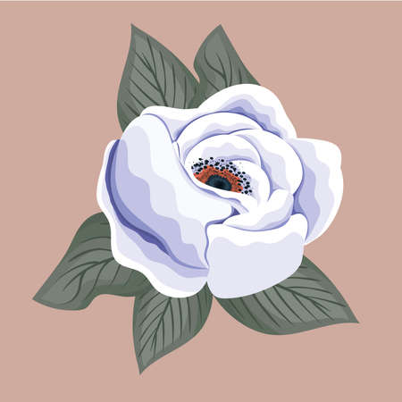 white flower painting design, natural floral nature plant ornament garden decoration and botany theme Vector illustrationのイラスト素材