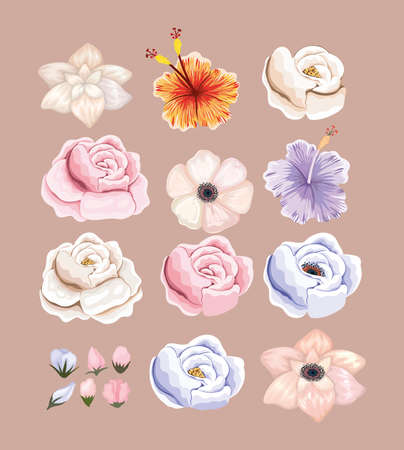 set of flowers painting design, natural floral nature plant ornament garden decoration and botany theme Vector illustrationのイラスト素材