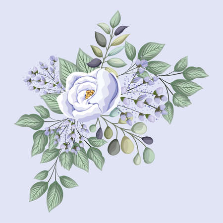 white rose flower with leaves painting design, natural floral nature plant ornament garden decoration and botany theme Vector illustrationのイラスト素材