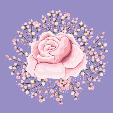 pink rose flower painting design, natural floral nature plant ornament garden decoration and botany theme Vector illustrationのイラスト素材