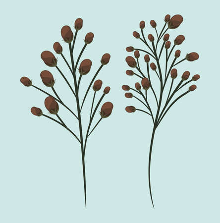 two green leaves bouquets painting design of Natural floral nature and plant theme Vector illustrationのイラスト素材