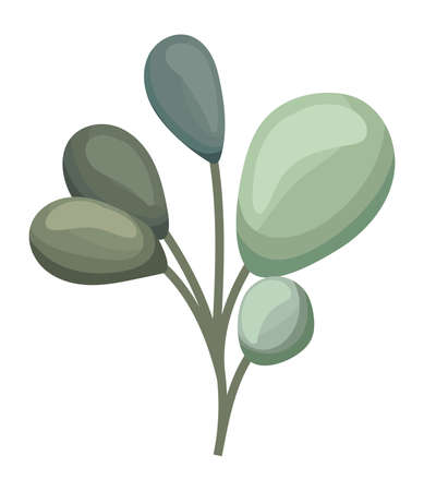 green ovals leaves painting design of Natural floral nature and plant theme Vector illustrationのイラスト素材