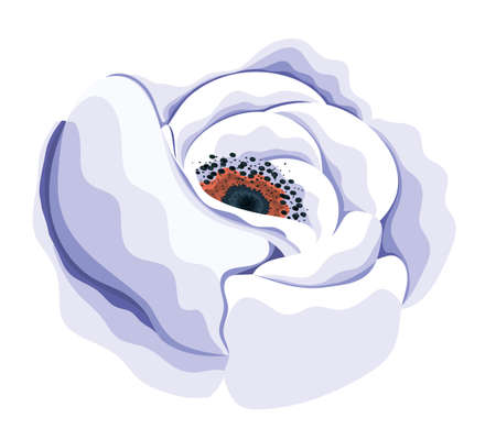 white rose flower painting design, natural floral nature plant ornament garden decoration and botany theme Vector illustrationのイラスト素材