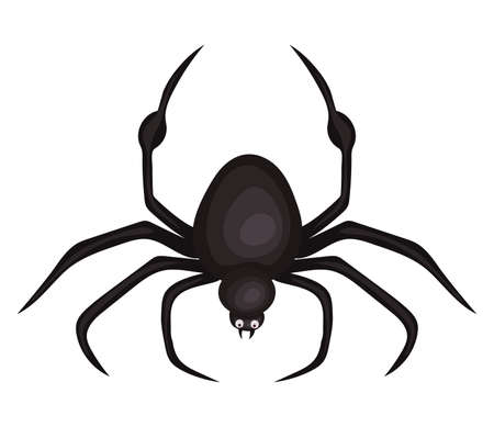 Halloween spider cartoon design, Holiday and scary theme Vector illustrationのイラスト素材