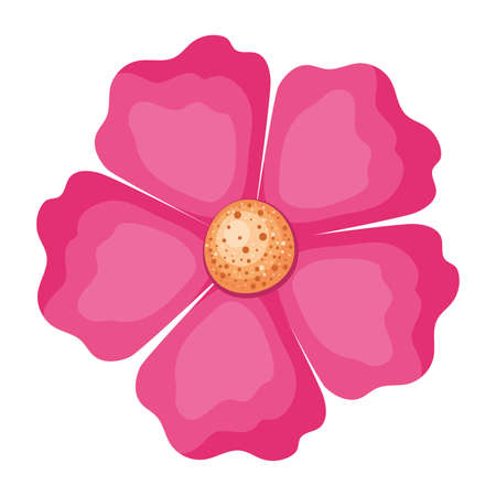 pink flower design, natural floral nature plant ornament garden decoration and botany theme Vector illustrationのイラスト素材