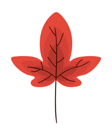 Isolated leaf design of Natural floral nature and plant theme Vector illustrationのイラスト素材