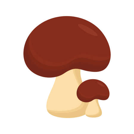 fungi mushroom design, nature fungus food forest plant and autumn theme Vector illustrationのイラスト素材
