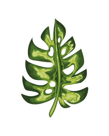 leaf of green color with stem in a white background vector illustration designのイラスト素材