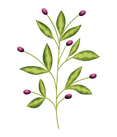 plant with many green leaves and purple flowers vector illustration designのイラスト素材