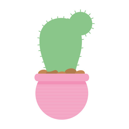 cactus over a pink color pot vector illustration designのイラスト素材