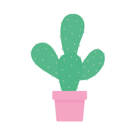 cactus with a green color on a white background vector illustration designのイラスト素材