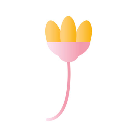 flower with a pink and yellow color on the top vector illustration designのイラスト素材