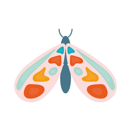hand drawn butterfly with a different colors vector illustration designのイラスト素材