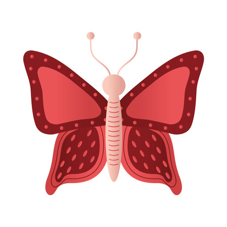 butterfly with a red color vector illustration designのイラスト素材