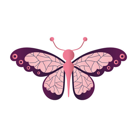 butterfly with a pink and purple color vector illustration designのイラスト素材