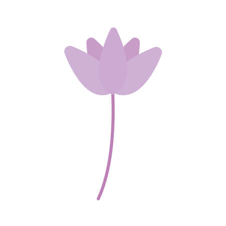 flower with a purple color vector illustration designのイラスト素材