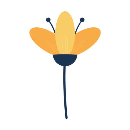 flower with a orange color and dark stemp vector illustration designのイラスト素材