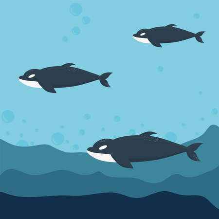 group of killer whale on the ocean vector illustration designのイラスト素材