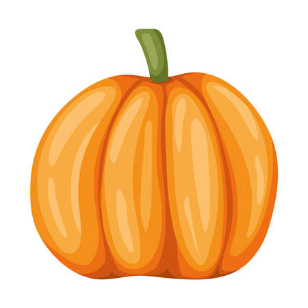 healthy and fresh pumpkin iconのイラスト素材