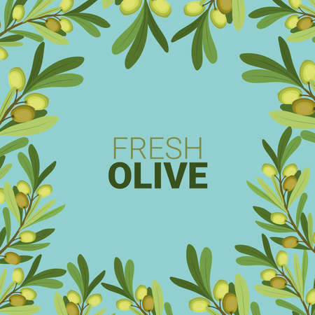 fresh olive frame and branchesのイラスト素材