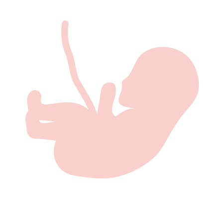 pink fetus icon over whiteのイラスト素材