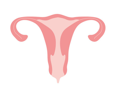 pink uterus icon over white