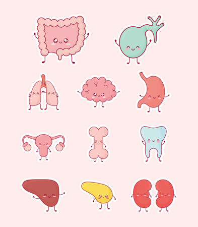 set of cute human organsのイラスト素材
