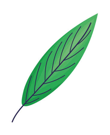 cute green leaf and stemのイラスト素材