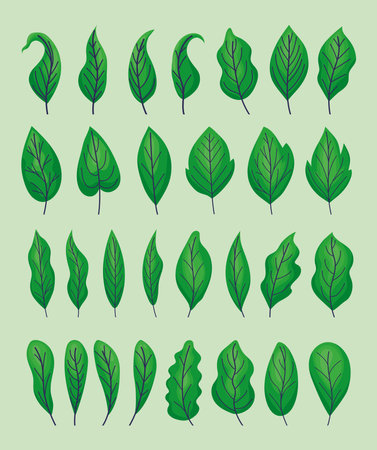 cute green leaves icons setのイラスト素材