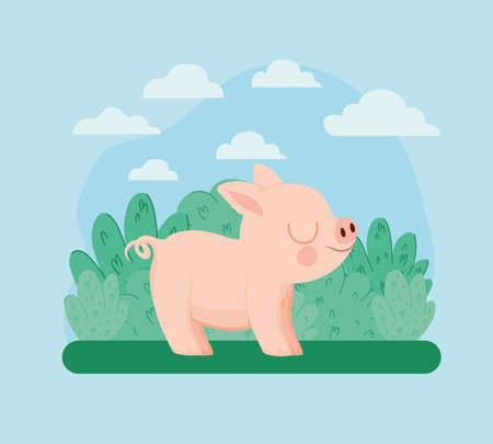 pretty piggy illustrationのイラスト素材