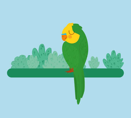 pretty parrot illustrationのイラスト素材