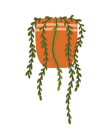plant on potのイラスト素材